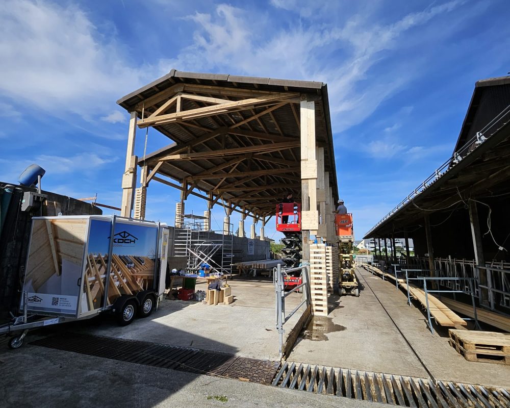 943dd2c2-c8a9-4108-a084-7d5571308f08