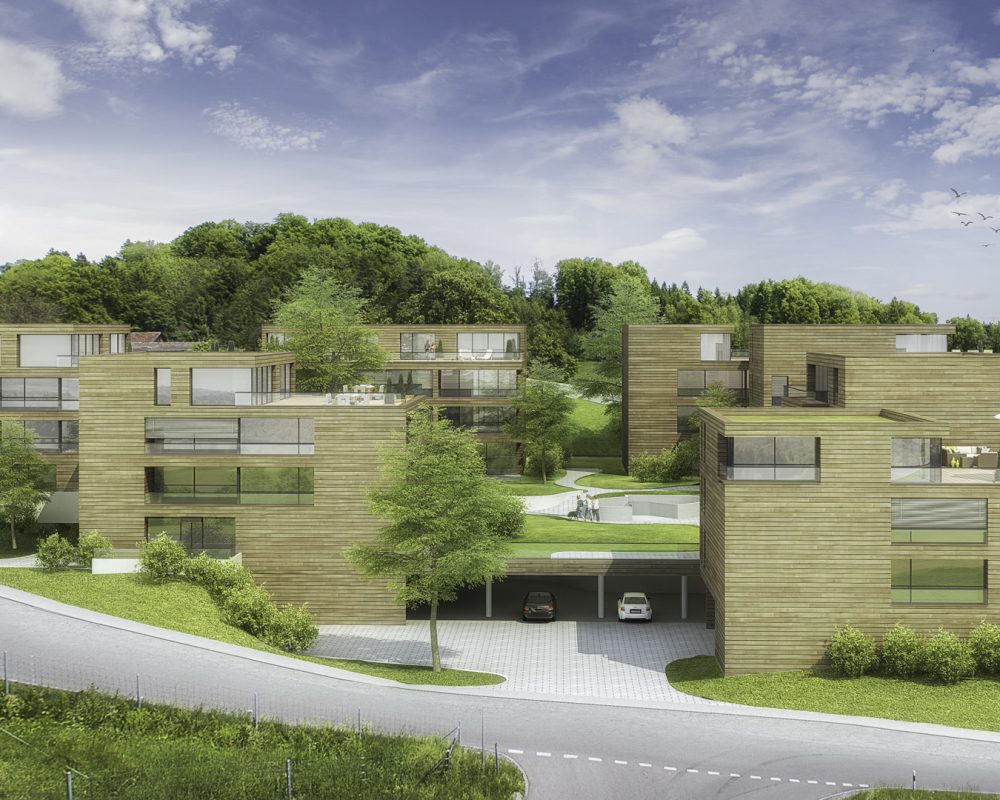 KOCH-AG-Flachseeblick-Unterlunkhofen-4_optimiert-Bearbeitet