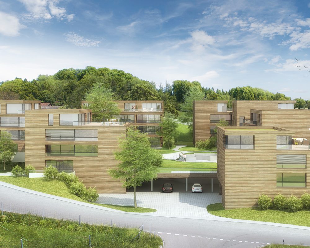 KOCH-AG-Flachseeblick-Unterlunkhofen-4_optimiert