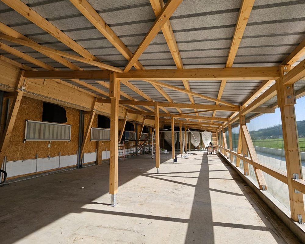 PHOTO-2026-03-05-14-15-21 3